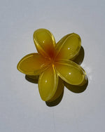 Plumeria Flower Claw Clips