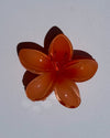 Plumeria Flower Claw Clips