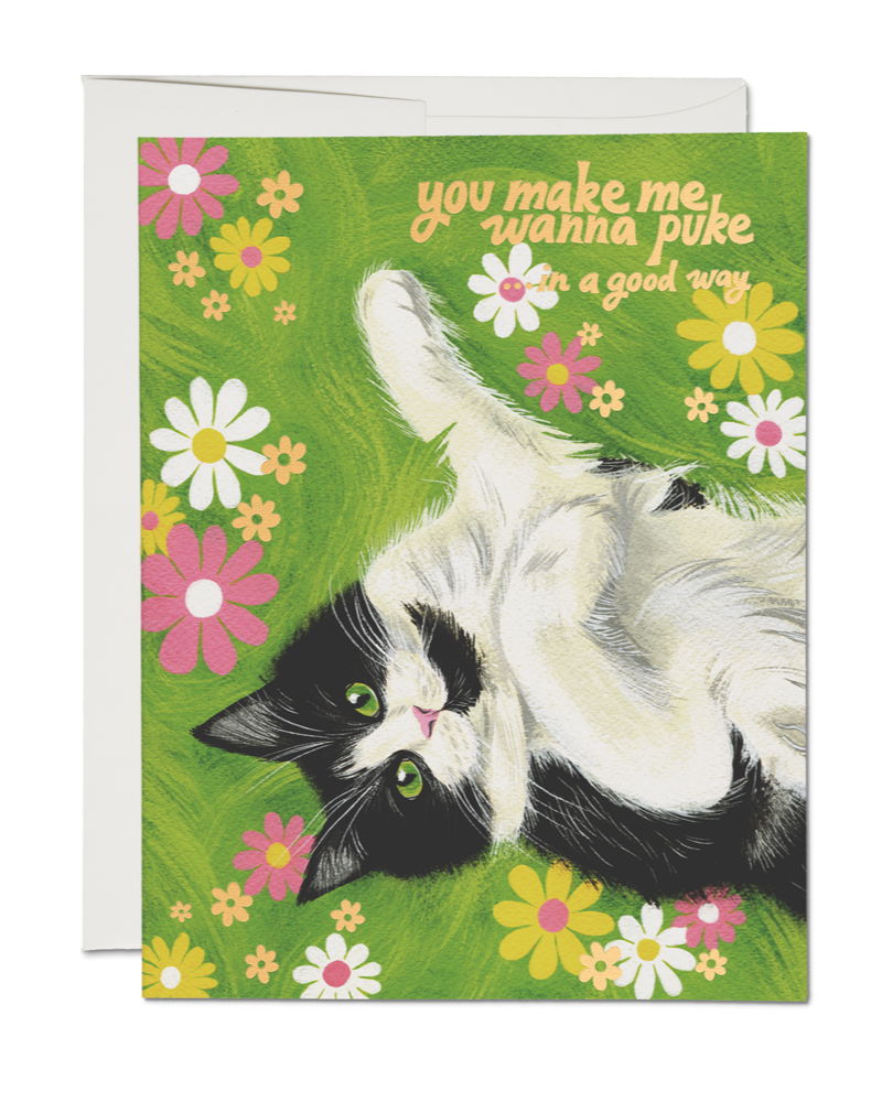 Nice Kitty Greeting Card