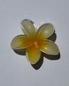 Plumeria Flower Claw Clips