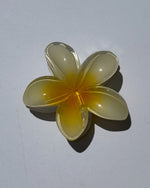 Plumeria Flower Claw Clips