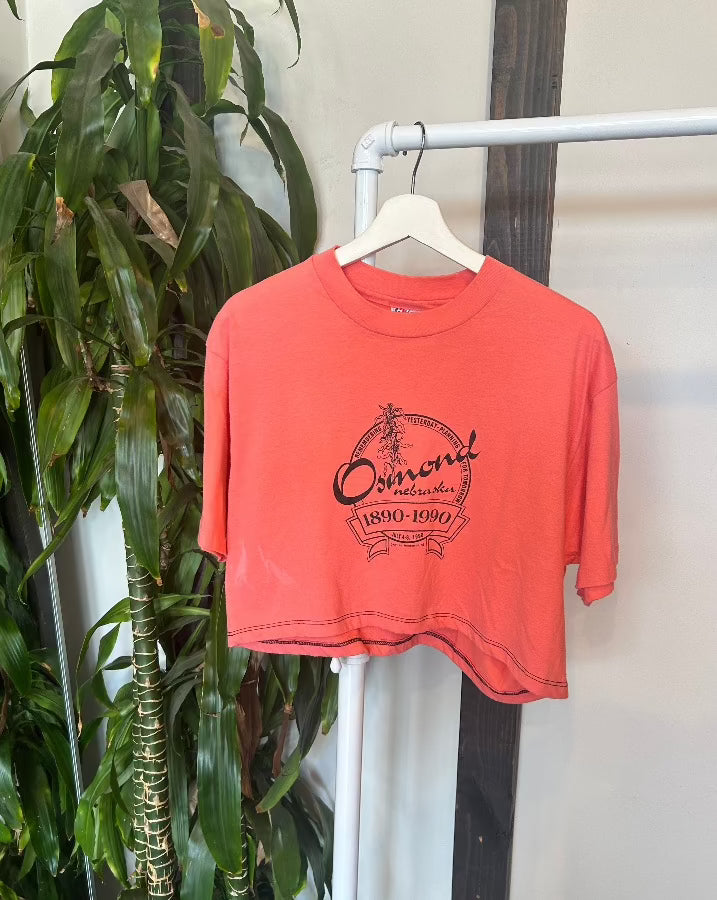 Vintage Cropped Osmond Tee