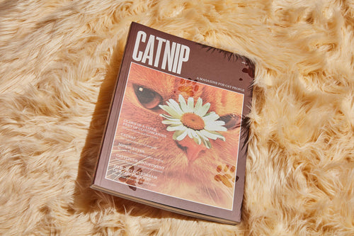 Catnip Magazine