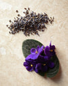 Black Violet & Lavender (Mini)