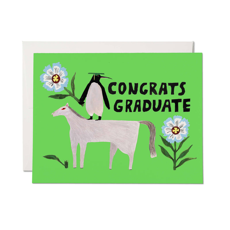 Penguin Pomp Greeting Card