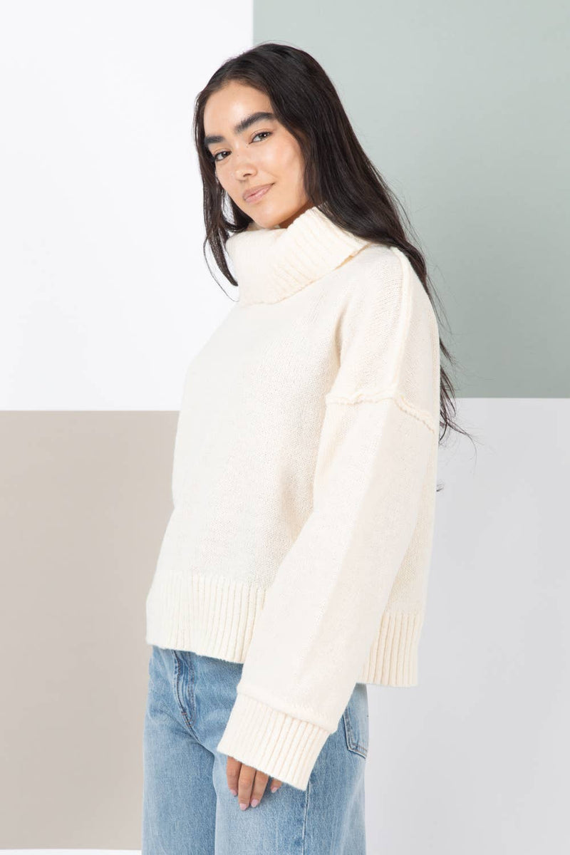 Cream Turtleneck Cozy Sweater Top