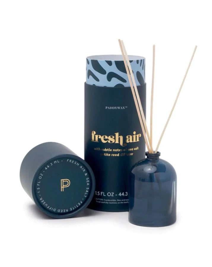 Mini Diffuser in Fresh Air