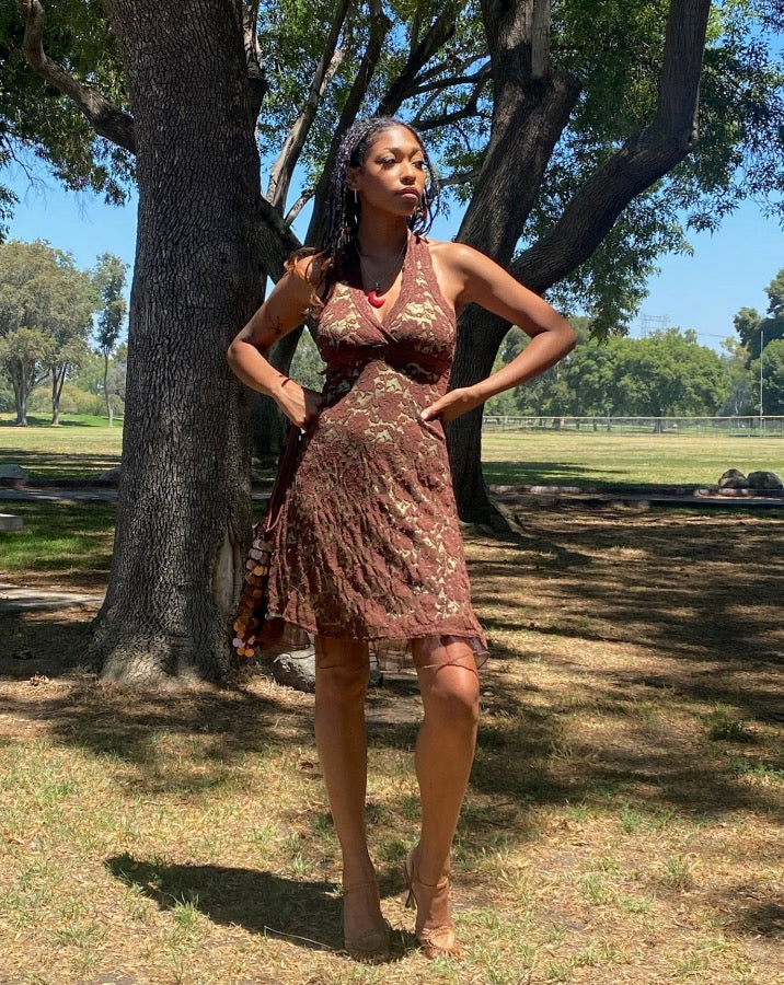 Vintage Brown Lace Dress