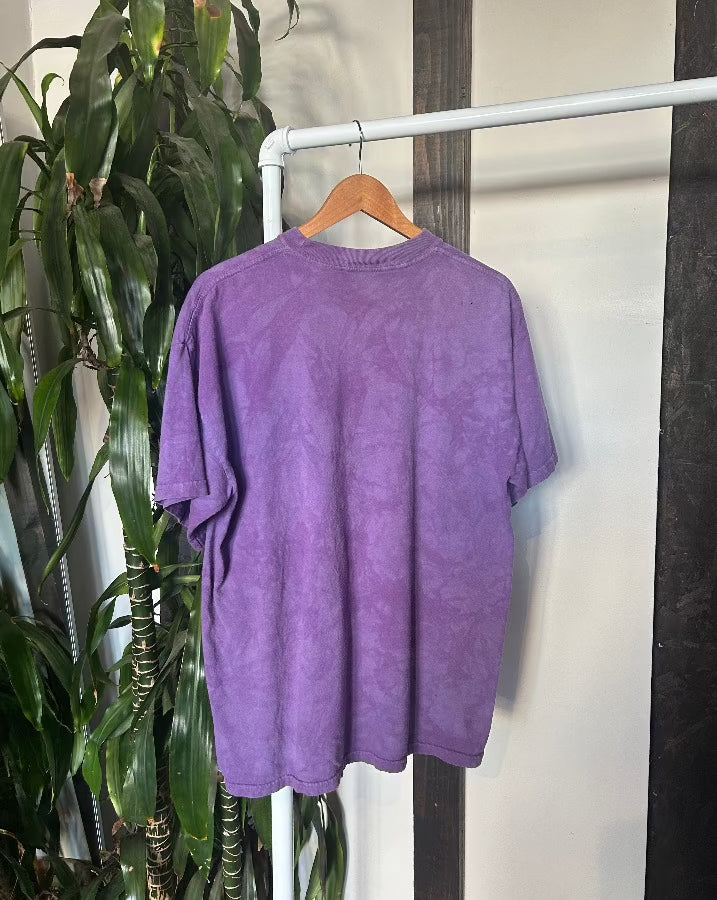 Vintage Fairy Graphic Tee