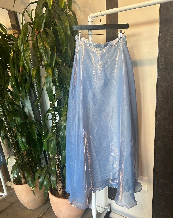 Vintage Cinderella Maxi Skirt