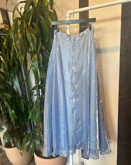 Vintage Cinderella Maxi Skirt