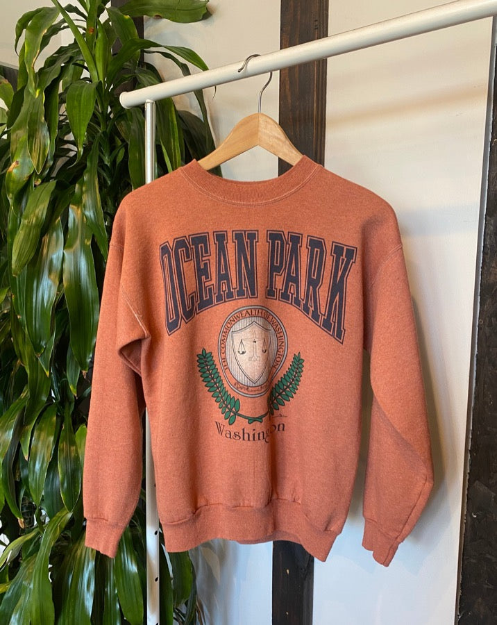 Vintage Washington Sweatshirt