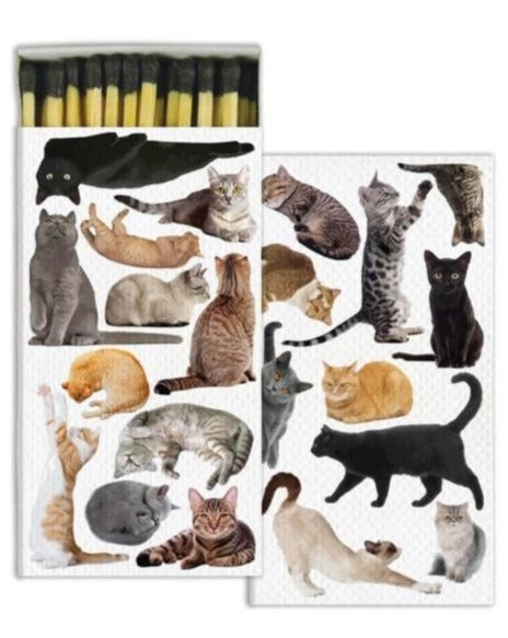 Cat Matches